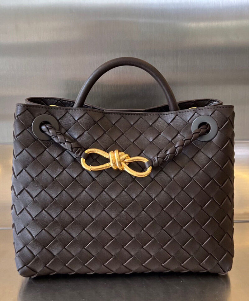 Bottega Veneta Small Andiamo